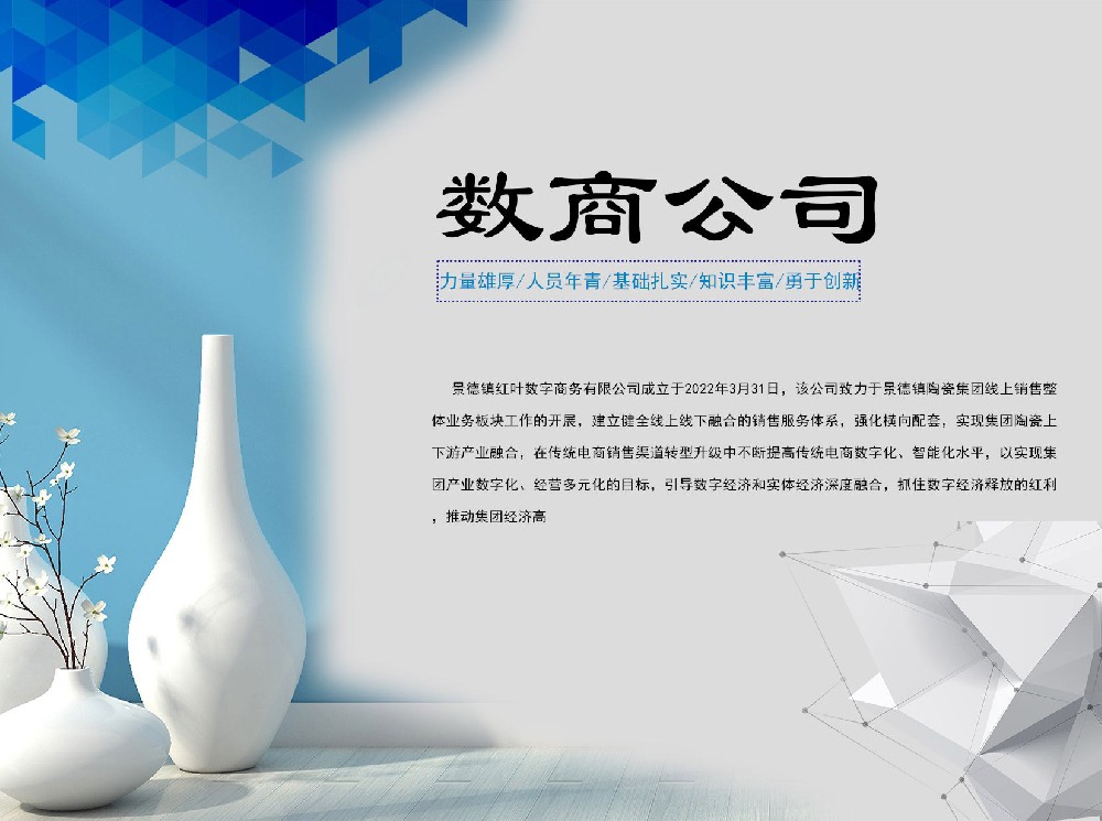 贵阳红叶数字商务有限公司